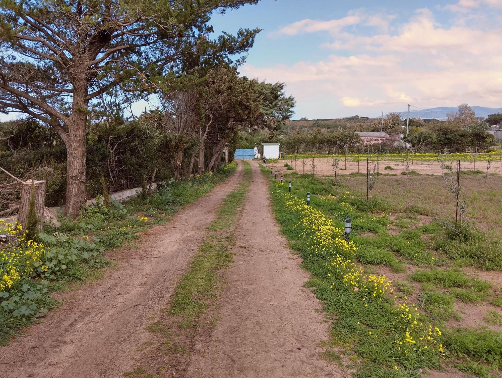 Mare Daire Valledoria  Dış mekan fotoğraf