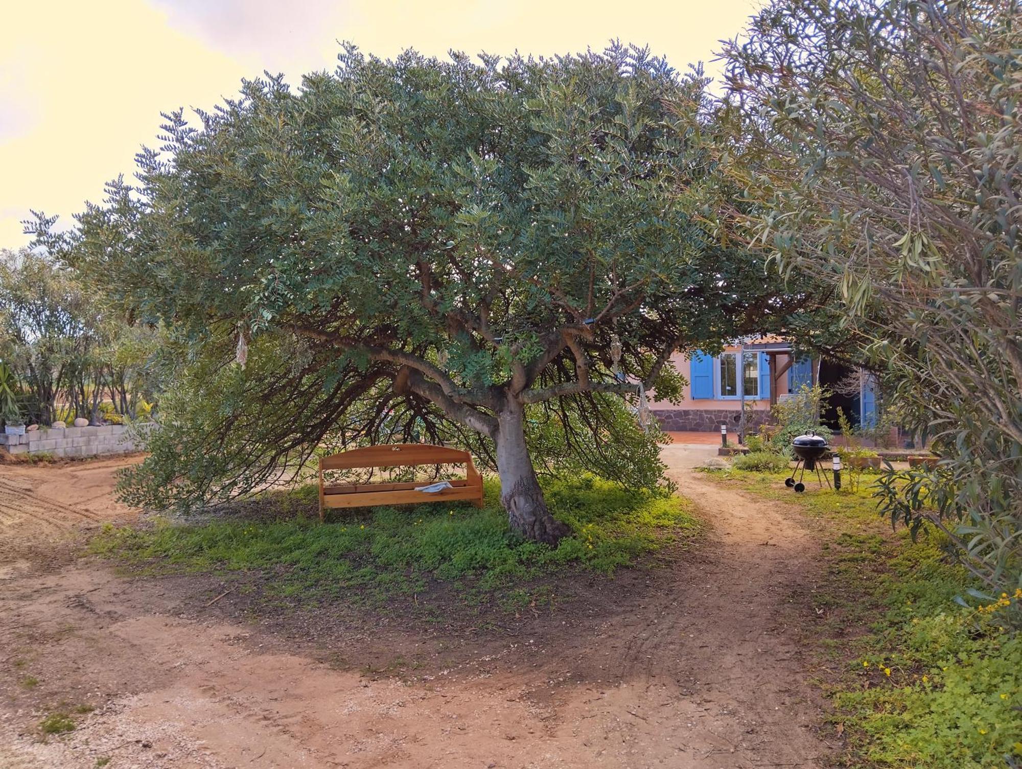 Mare Daire Valledoria  Dış mekan fotoğraf